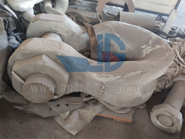 وائڈ باڈی شیکل G2160