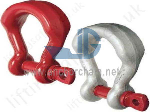 وائڈ باڈی شیکل G2169
